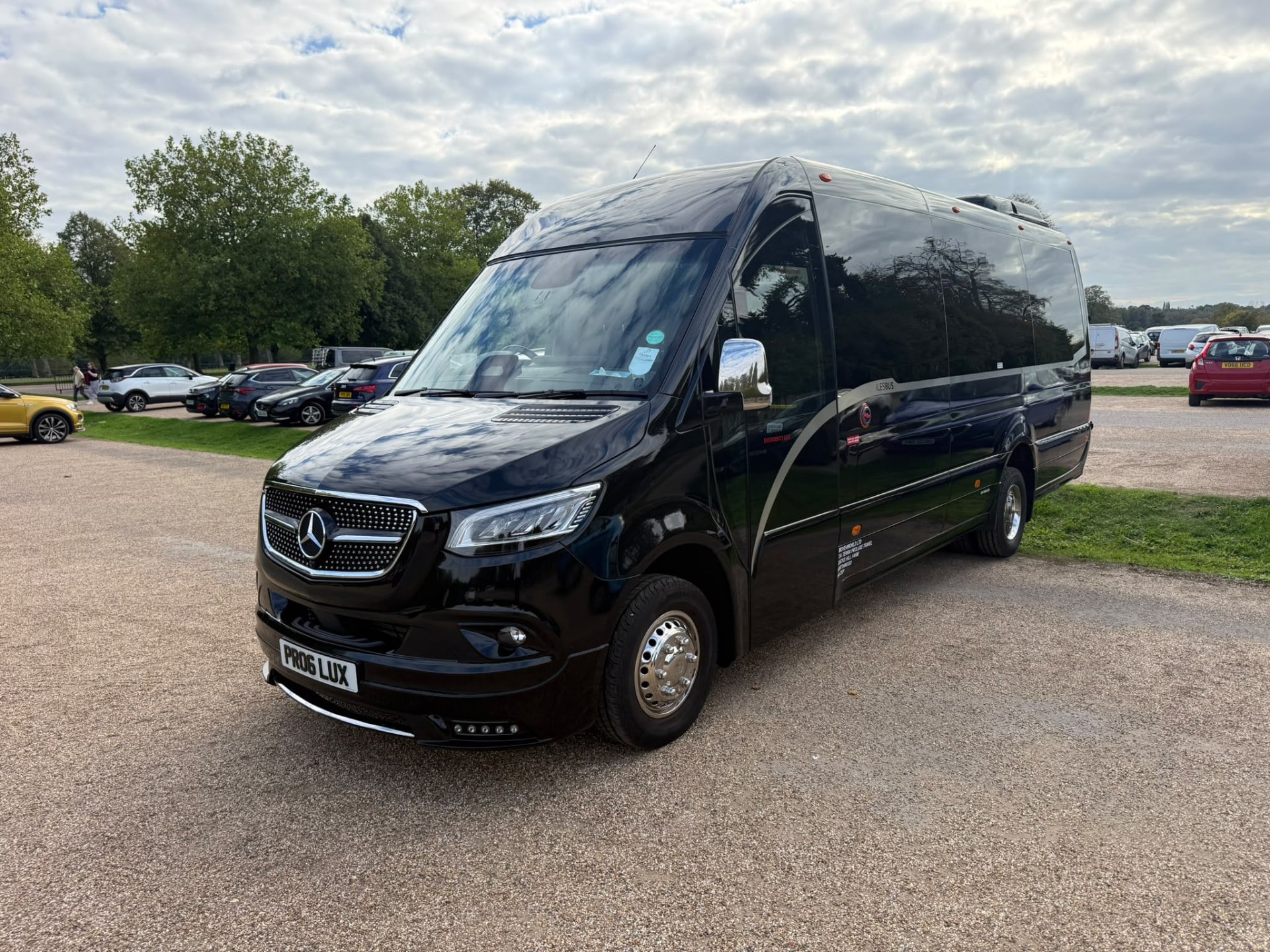 Terra ProLuxe Mercedes-Benz Sprinter executive minibus